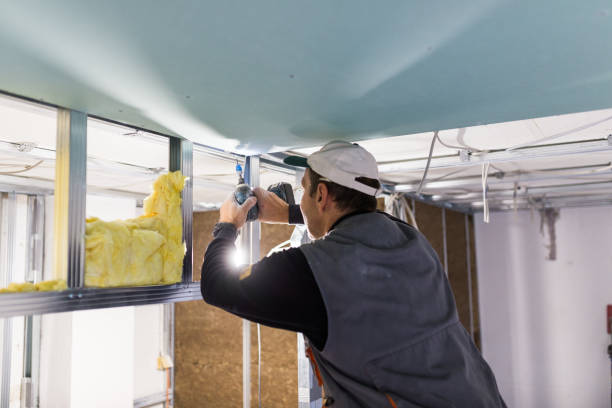 Best Insulation Repair Services  in Vander, NC