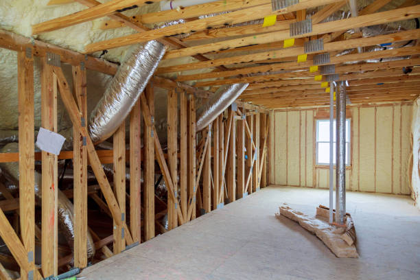 Best Insulation Removal  in Vander, NC