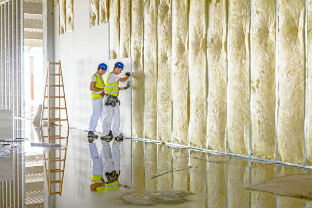 Best Residential Insulation Services  in Vander, NC